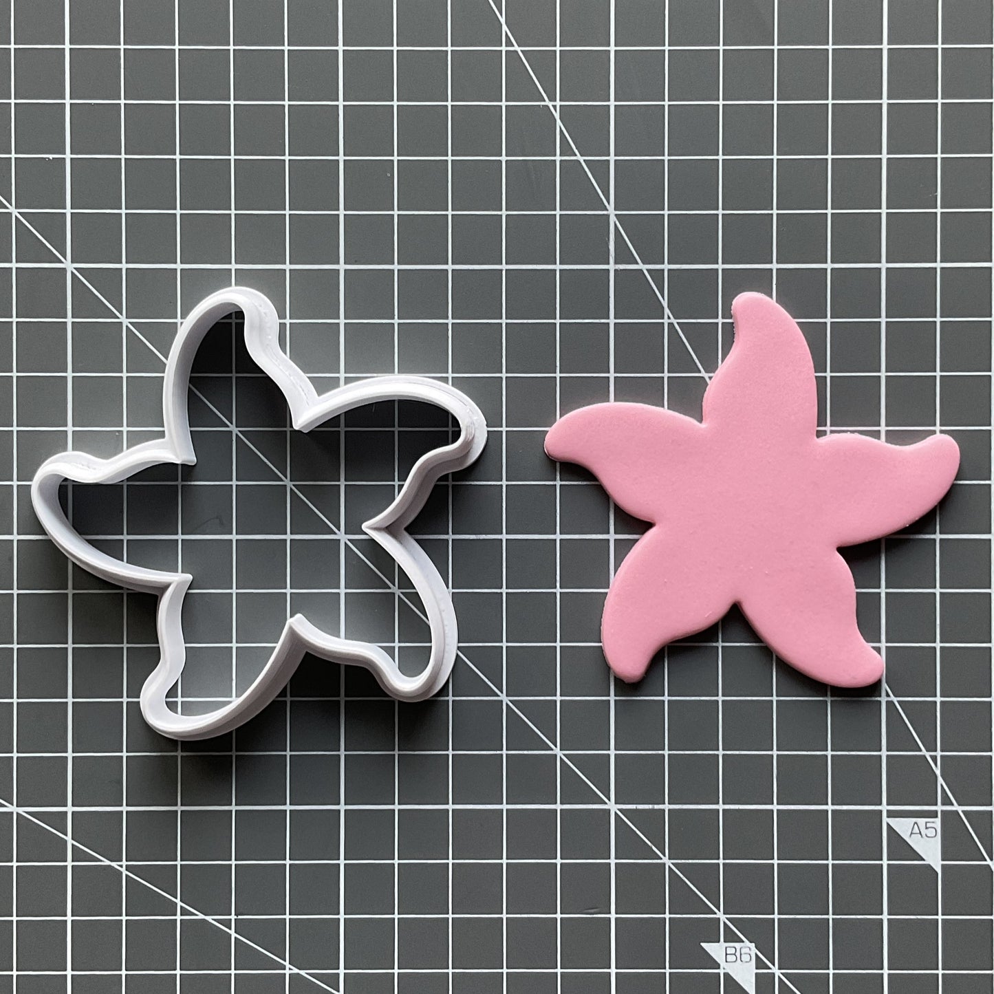 Seashell, Mermaid, Starfish