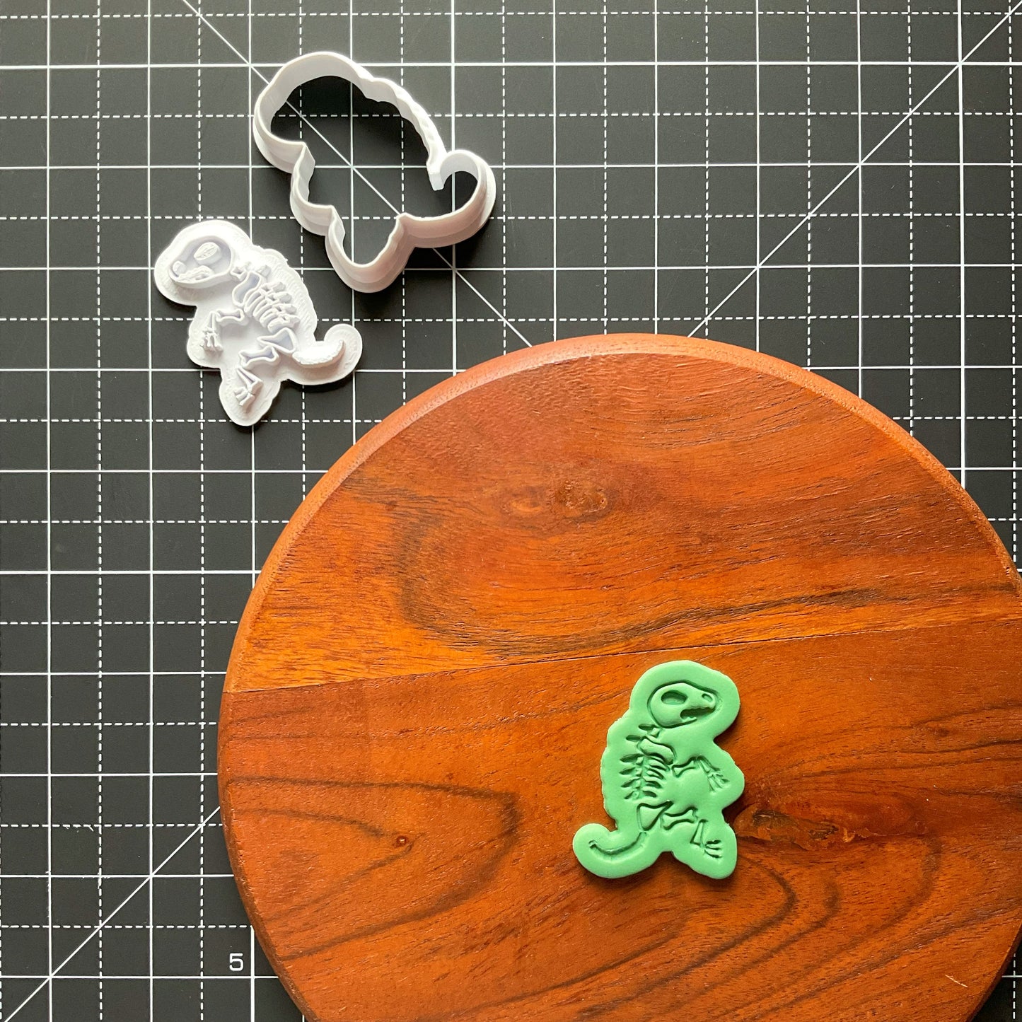Dinosaur Bones