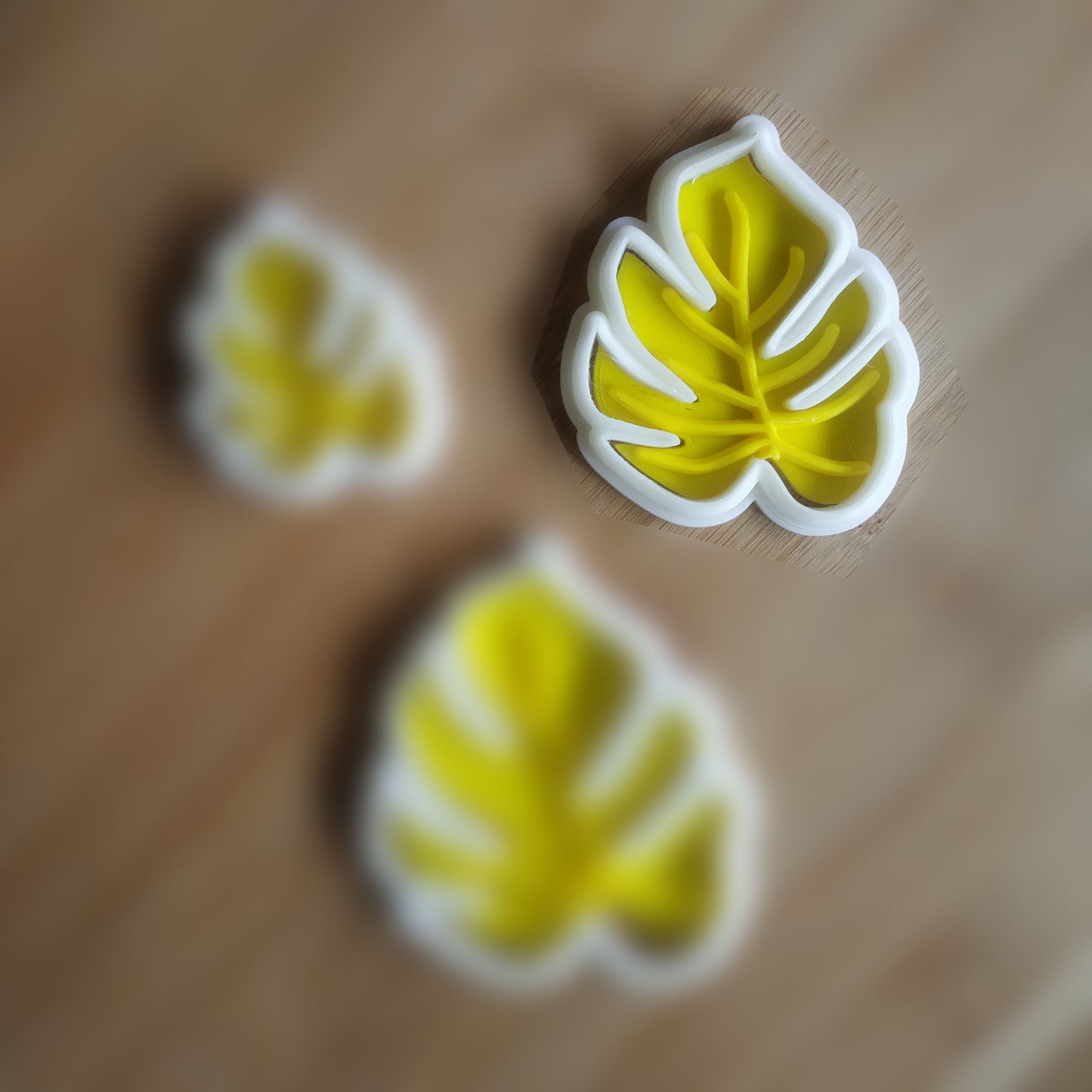 Monstera Leaf v2