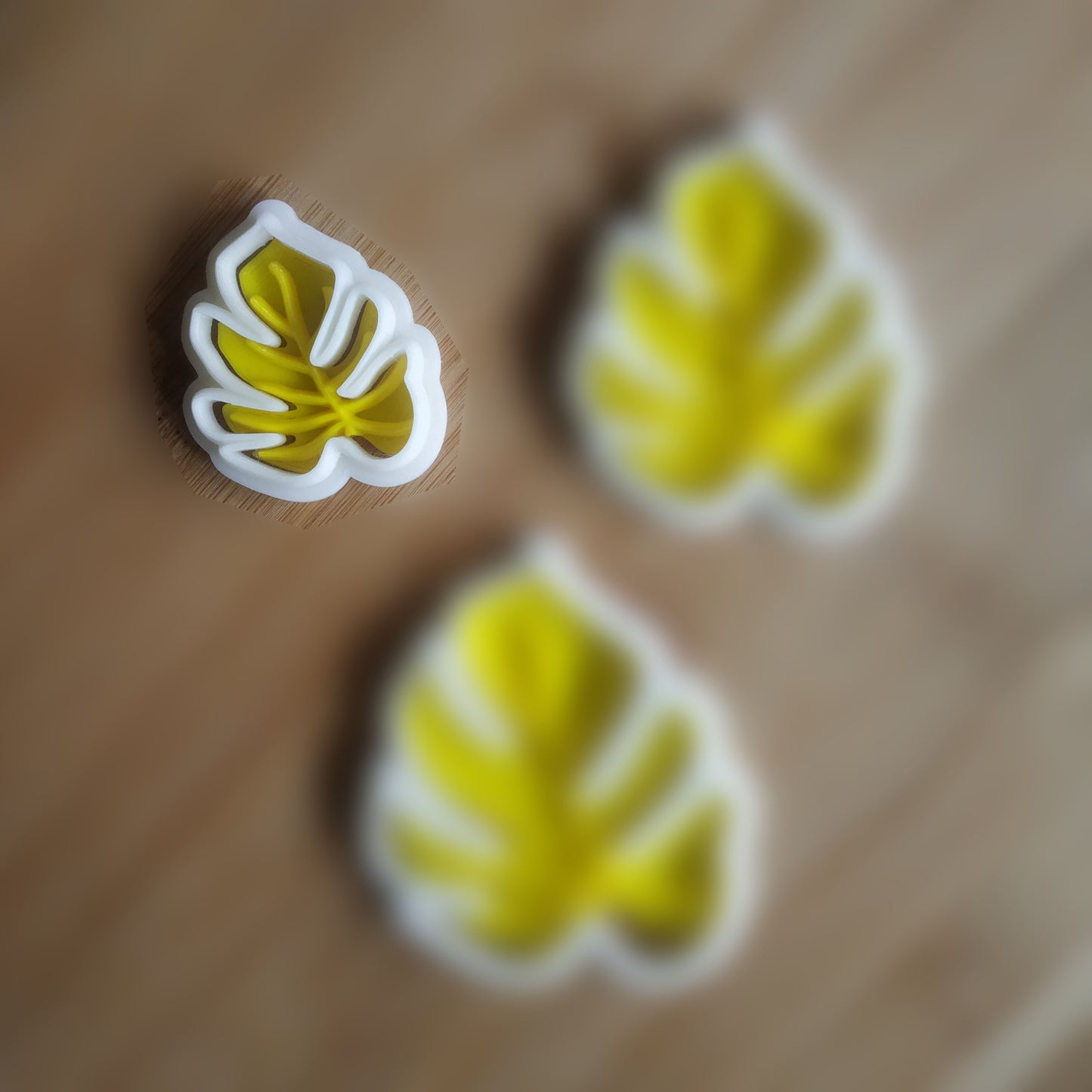 Monstera Leaf v2