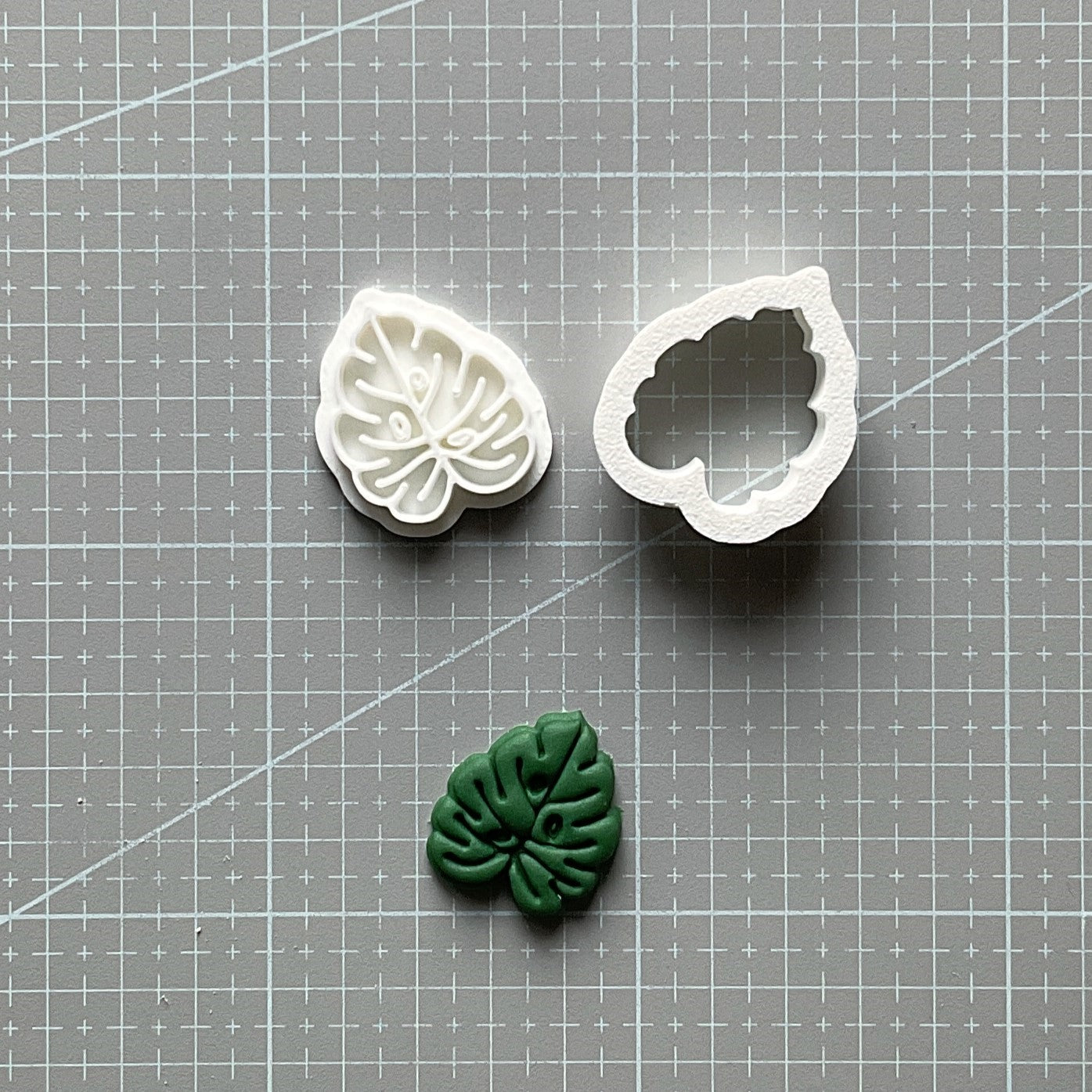 Small Monstera