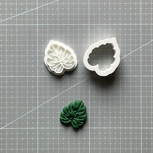 Small Monstera