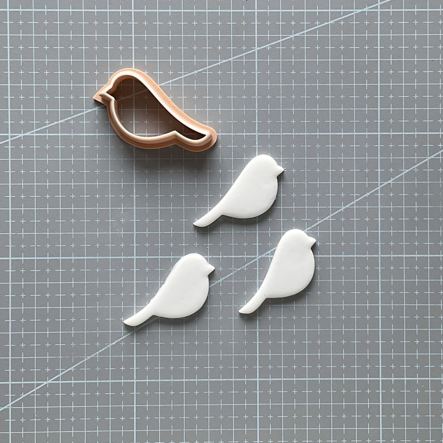 Small Dove