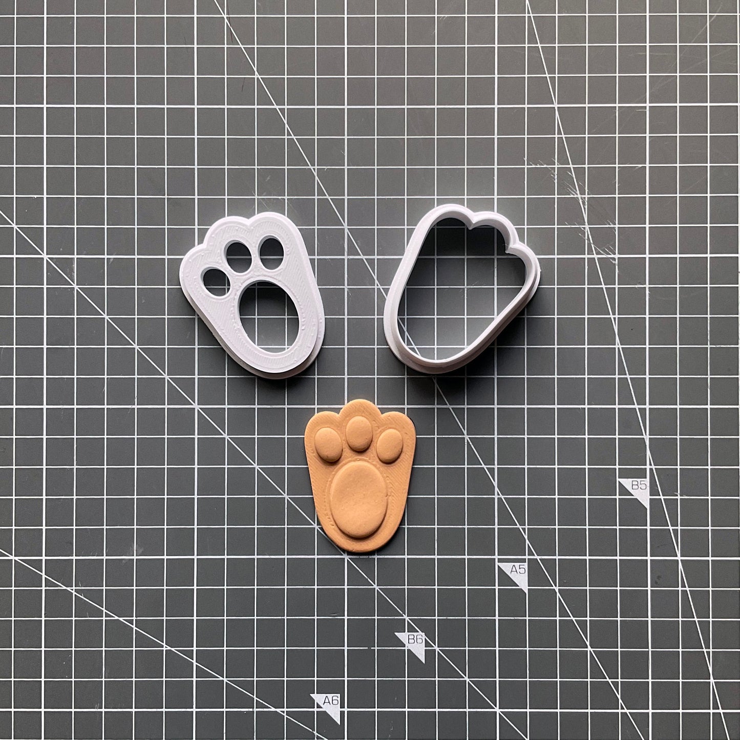 Bunny Paw