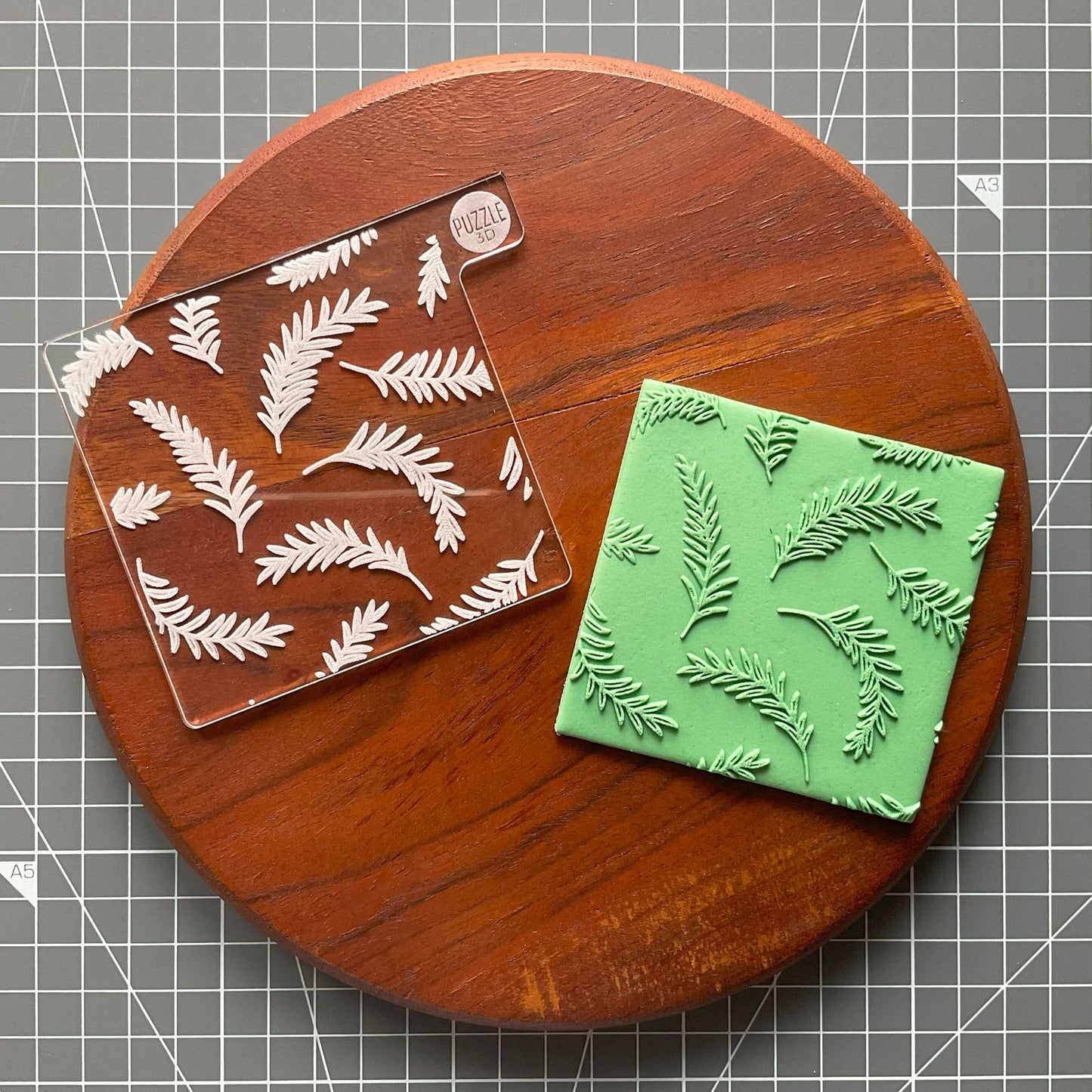Tropical Leaves